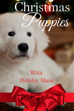 SNC_08_ChristmasPuppies&HolidayMusic_CoverArt.png